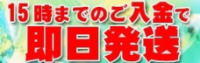 15時までの入金で即日発送